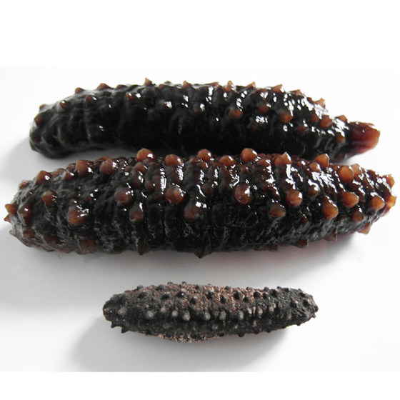 Light dried sea cucumber gift box, seafood gift, 10 sea cucumbers, Dalian specialty, new year gift gift package for elders