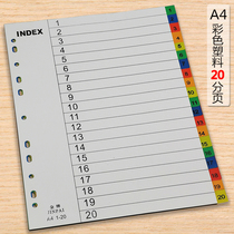 20 Pages Sepp Sheet Color Plastic Color color Separated Page A4 File Archives Classified Index Paginated Paper
