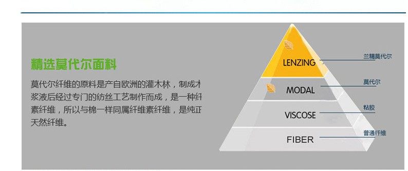 Slip jeunesse en coton - Ref 650873 Image 7