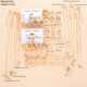 Earrings necklaces jewelry sets cross-border European and American new earrings necklace jewelry sets