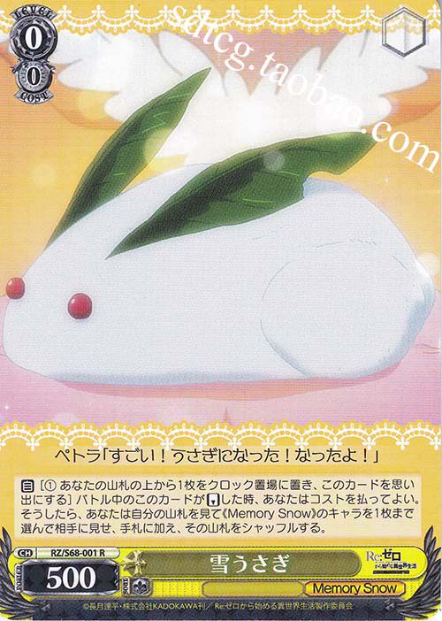 WS from scratch RZ S68-001 Snow in the RZ S68-001 Syracuse (R)