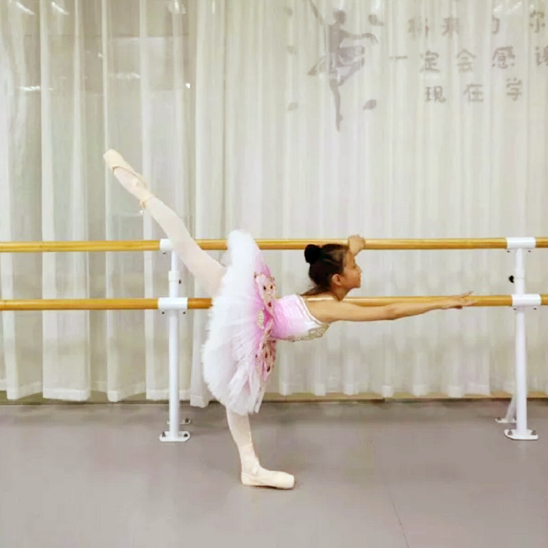 Family basic skills practice dance room pressure leg pole stainless steel lifting handle dry double-layer fixed floor-standing dance handle