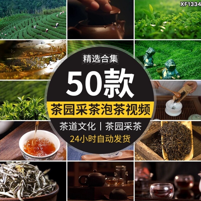 Tea Garden Tea Picking, Young Green Tea Trees, Close-Up Shots, Tea Culture, Tea Ceremony, Tea Brewing, Mountain Black Tea, Drinking Tea, Picking Tea, Video Footage