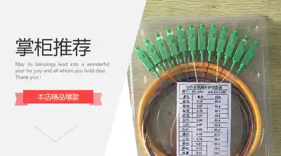 12-core SC bundle pigtail