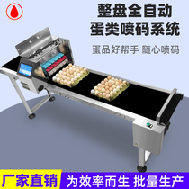 6 Eggs Spray machine upgraded version 6 Head eggs Egg Beat machine Quick HD Egg Spray Wordpress Save the whole fast