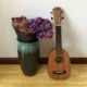 Uk uk 21 inch ukulele người mới bắt đầu cầm tay nhạc cụ đơn giản phương Tây