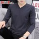 V-neck bottoming shirt men's pure cotton long-sleeved T-shirt underwear spring and autumn clothes 2024 new white T-shirt inner wear spring