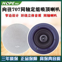HOPE longing for 707 narrow sides design ceiling ceiling ceiling acoustics assorted horn coaxial background music