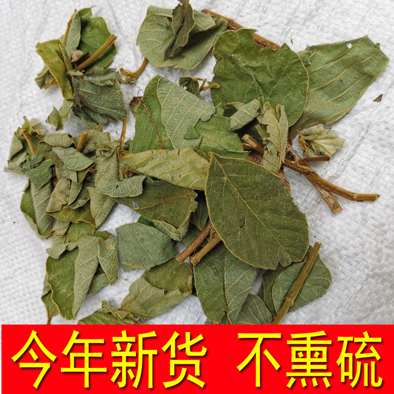 Wild Money Grass, Chinese Herbal Medicine, Money Grass, Money Tree, Grandma's Money Grass, New Stock