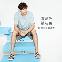 Celadon/Silver Grey