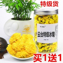 Yuntai Super Ice Chrysanthemum Tea Ling Yan Scented Tea Henan Jiaozuo Wild Rhyme You Ju Nian Lu Ju Huai Ling Ju Tea