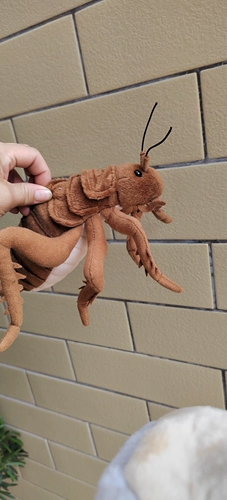 Реалистичная кукла