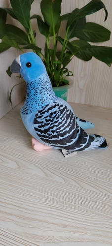 58 Список бесплатной доставки смоделированные голубки см. Попугаи плюшевые украшения кукол