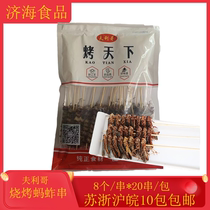 Grasshopper Outdoor Barbecue ingredients Locust string Grasshopper String Fried Barbecue Iron Plate Strings of Commercial Frozen Semi-finished Products