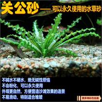 Special sand for the high level water grass of Guangongsanto Water Grass