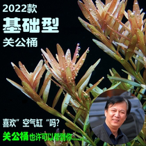 Closed Bull barrel CO2 Diffusion dissolved barrel External type carbon dioxide dissolved barrel 2022 Type of base Type Off Bucket