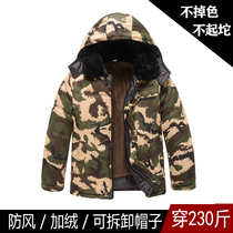 Winter Lauprotect cotton clothes men loose short and large code cotton clothes workwear cold storage workers Caede thickened anti-chill suit
