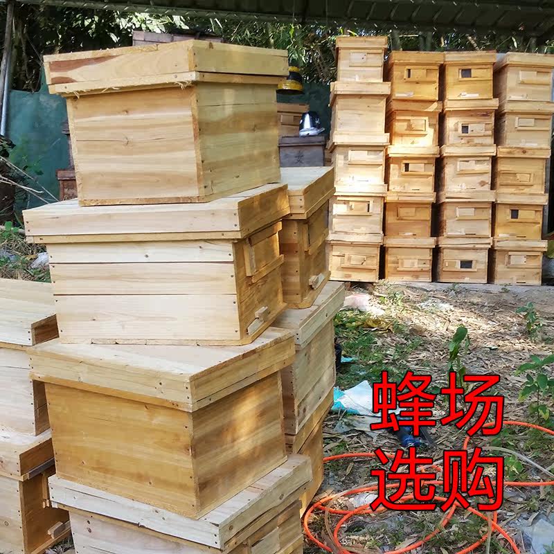 Door-to-door pick-up non-delivery in the bee colony live with box with spleen Bee box bee whole box strong swarm bee species with queen bee