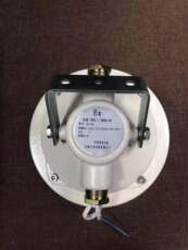 Потолочный динамик 防爆消防喇叭扬声器海湾泰和安松江消防广播系统壁挂式音箱隔爆型