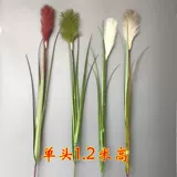 Симуляция тростника собака