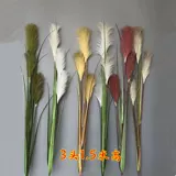 Симуляция тростника собака