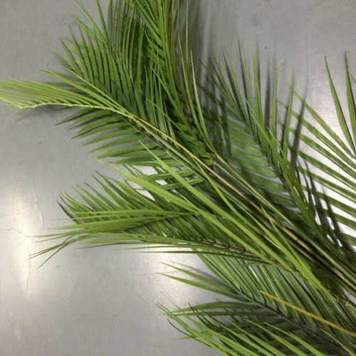 仿真棕榈树 Тропические кокосовые фальшивые листья банановые листья