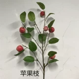 Моделирование ветвей Kumquat с ветвями и листьями, чтобы украсить листья лимона, листья и листья, оранжевые ветви оранжевых ветвей