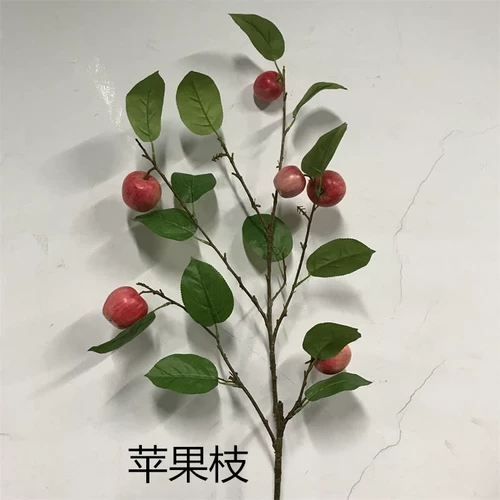 Моделирование ветвей Kumquat с ветвями и листьями, чтобы украсить листья лимона, листья и листья, оранжевые ветви оранжевых ветвей