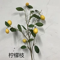 Лимонный ветвь