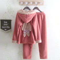 Cartoon bear Lady autumn and winter thickened pajamas hooded cute loose bubble velvet home suit women