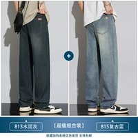 813 Цементный пепел +815 Retro Blue