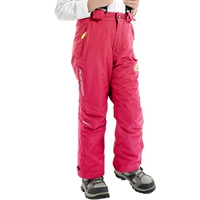 Роза красная