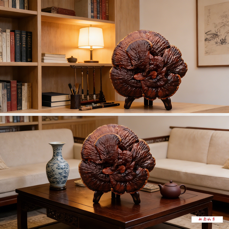 Ruyi Xiancao, Naturally Grown Extra-Large Real Lingzhi (Mushroom) Ornamental Piece, Classical Bonsai Creative Gift for Home Decoration