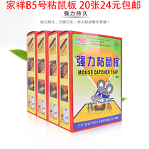 Home Xiang B5 Powerful sticky rat board Mouse stickers for home mousetrap rat rat eliminating rat rat gum medicine
