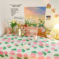 Розовый тюльпан