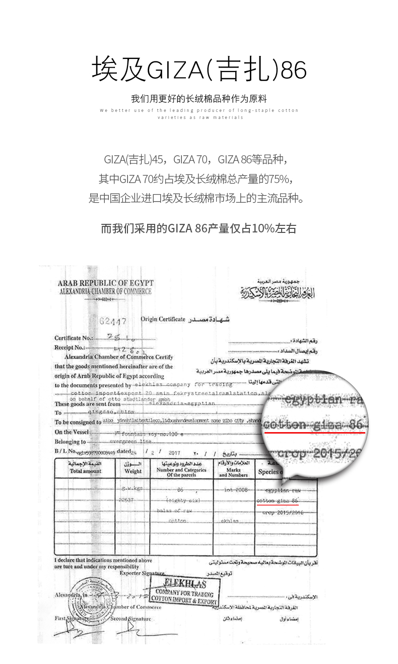 Minguang Ai Cập dài gối bông chủ yếu 2 gối bông cotton gối cặp - Gối trường hợp gối chặn vỏ đỗ