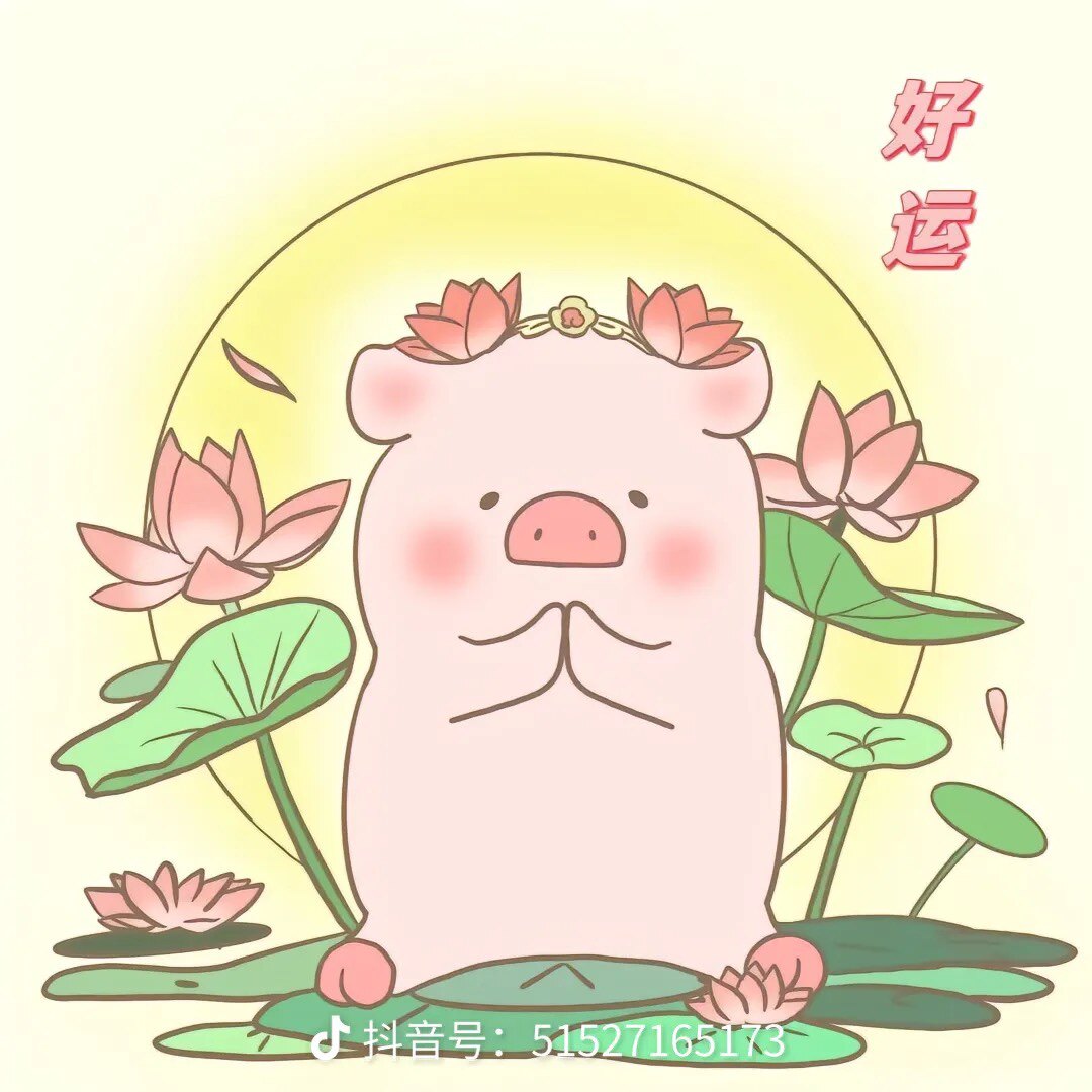 嘿嘿小猪