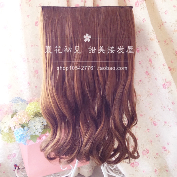 Extension mèches - Ref 218862 Image 19