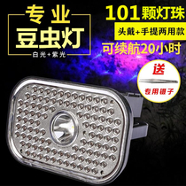 LED lithium headlamp charging photo capture scorpion lamp Capture scorpion head-mounted strong light capture scorpion purple special lamp