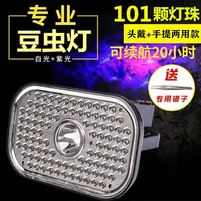 led lithium battery headlight charging photo catching scorpion lamp catching scorpion head mounted strong light catching scorpion purple light