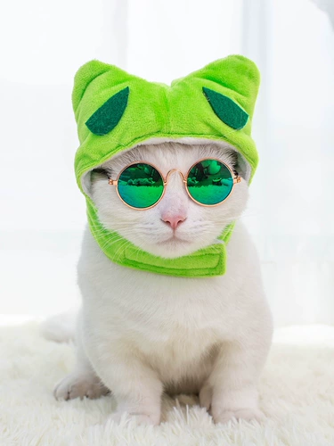 Pet Rabbit Year Cat Cat милый трансформирующий собака капюшона маленькая собака, кошачья собака кроличьи уши головные уши