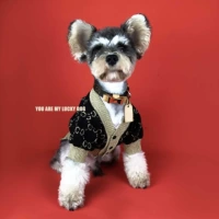 Черный и золотой свитер этот большой