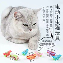 Cat Toy Electric Bug Kitty Cat Self-hi electronic Nanoworm track ball suit remote to tease the cat beetle