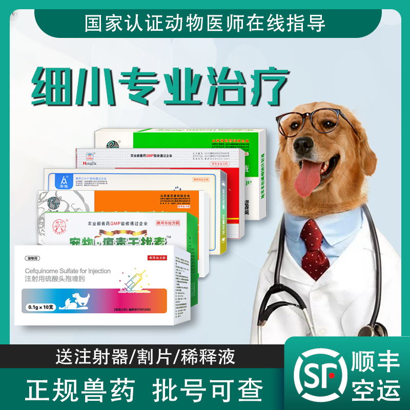 Dogs small canines Fever Enteritis Medicine Dogs Lathin blood vomiting Cholera Virus Interferon Small Treatment Package Six Days