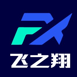 飞之翔电脑店的LOGO