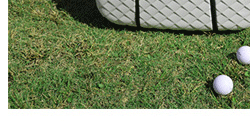 Sac de golf - Ref 37941 Image 42