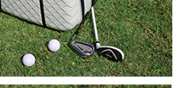 Sac de golf - Ref 37941 Image 44