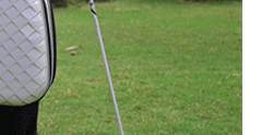 Sac de golf - Ref 37941 Image 65