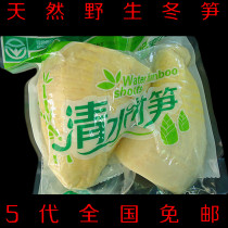 Bamboo shoots Fresh wild winter shoots Freshly dug bamboo shoots Pointed bamboo shoots dried bamboo shoots Lei bamboo spring shoots Specialty vegetables 500 grams 5 pieces