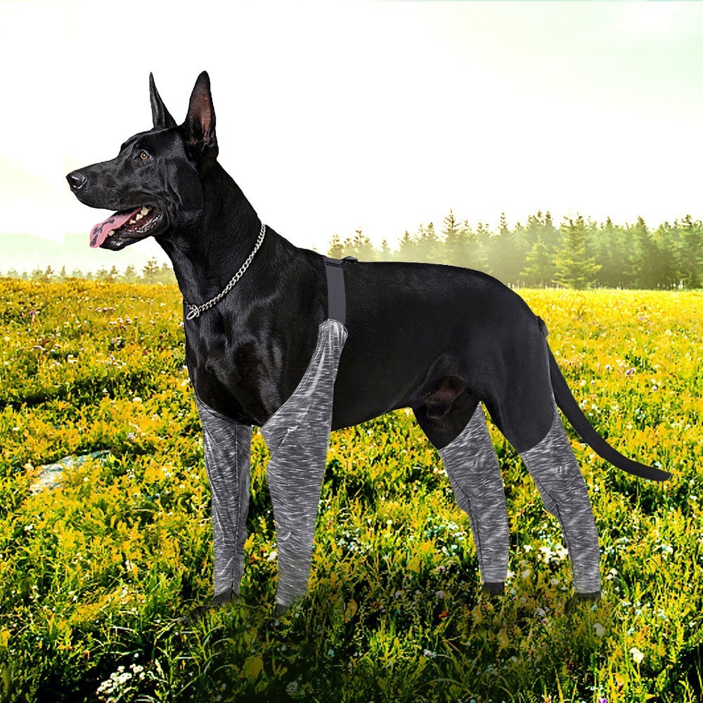 New Arrival Dog Socks Pet Dog Supplies Dog Outdoor Four-legged Pants Suspenders Leg Covers Anti-Dirty Anti-Urine Legs Universal